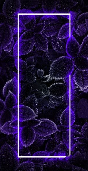Border Neon Black Wallpaper 69 300x585 - Asus ROG Phone 6D Wallpapers