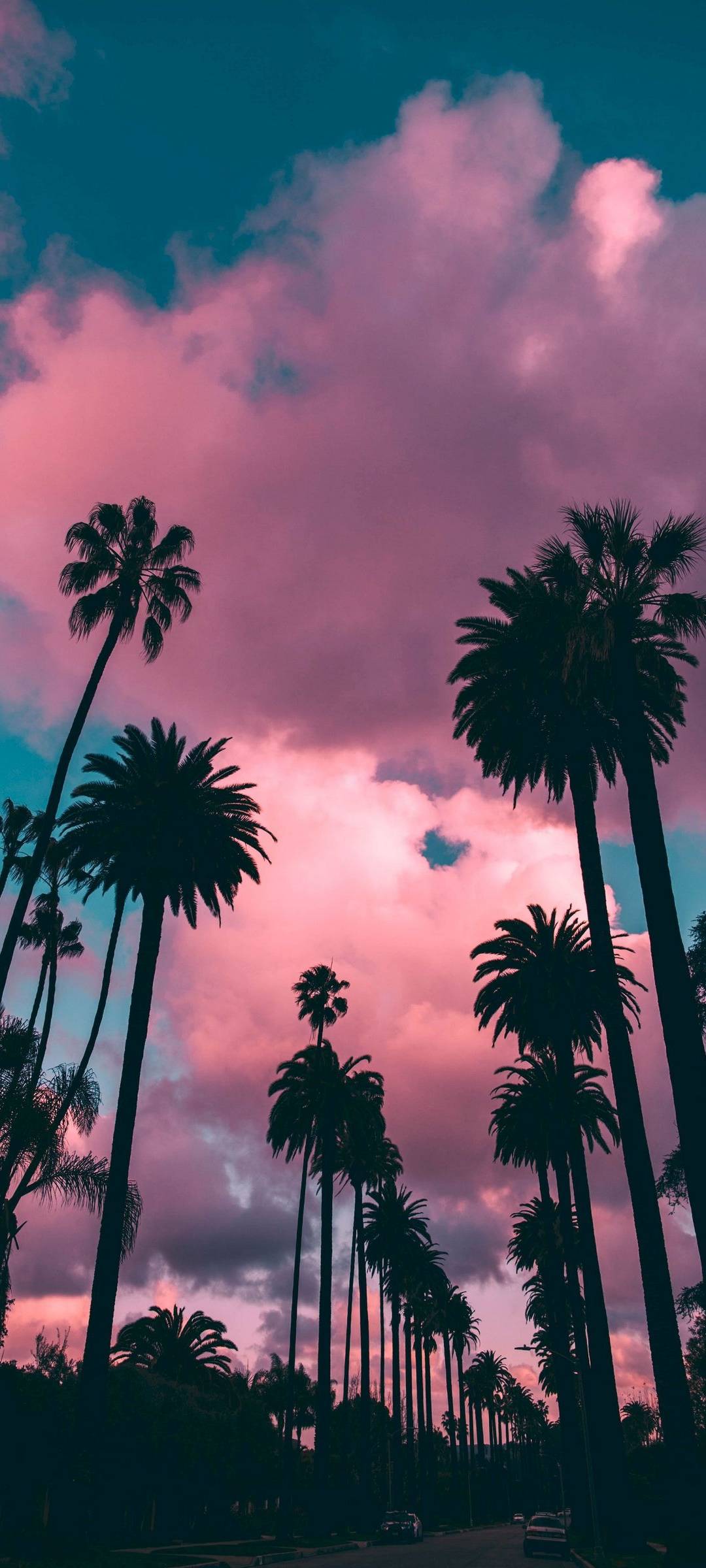 Pink Sky Palm Trees Wallpaper