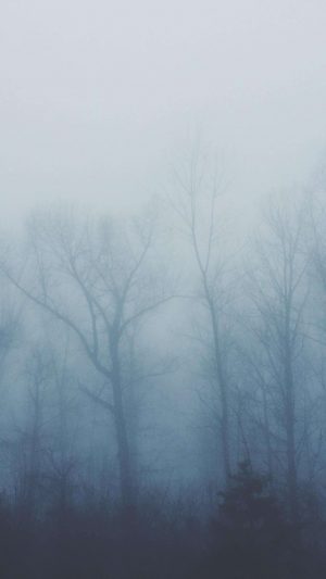 4K Trees cover in fog 300x533 - Minimalist Phone Wallpapers