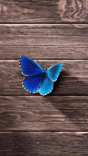 Butterfly Surface Wooden 4K Phone Wallpaper 300x533 - Minimalist Phone Wallpapers