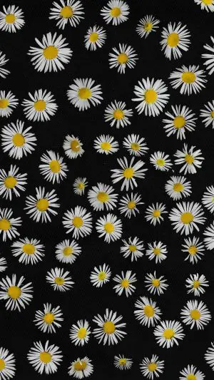 Chamomile Flowers Pattern 4K Phone Wallpaper 300x533 - WhatsApp Wallpapers