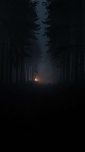 Forest Fog Darkness 4K Phone Wallpaper 300x533 - Space Phone Wallpapers