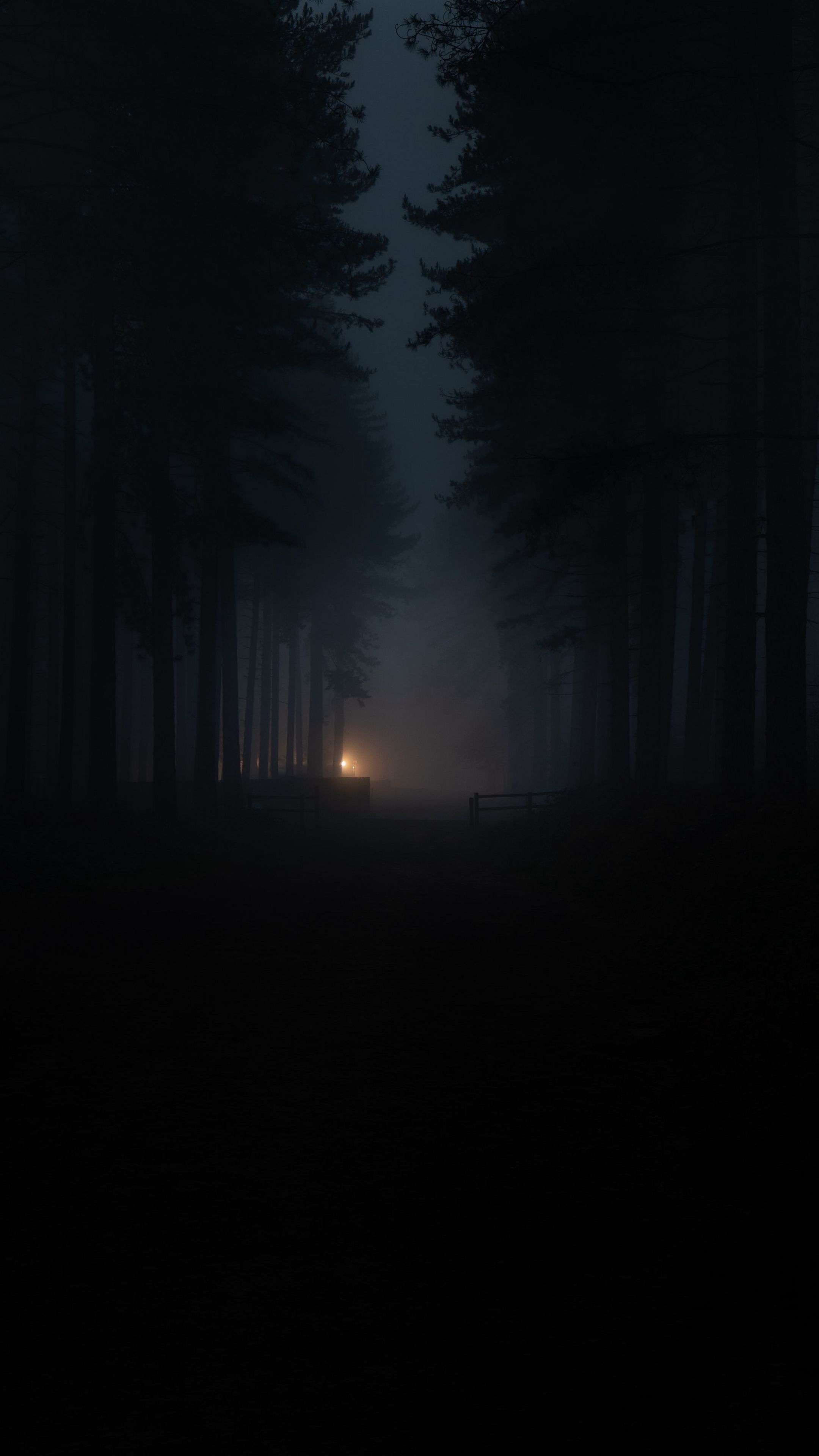 Forest Fog Darkness 4K Phone Wallpaper