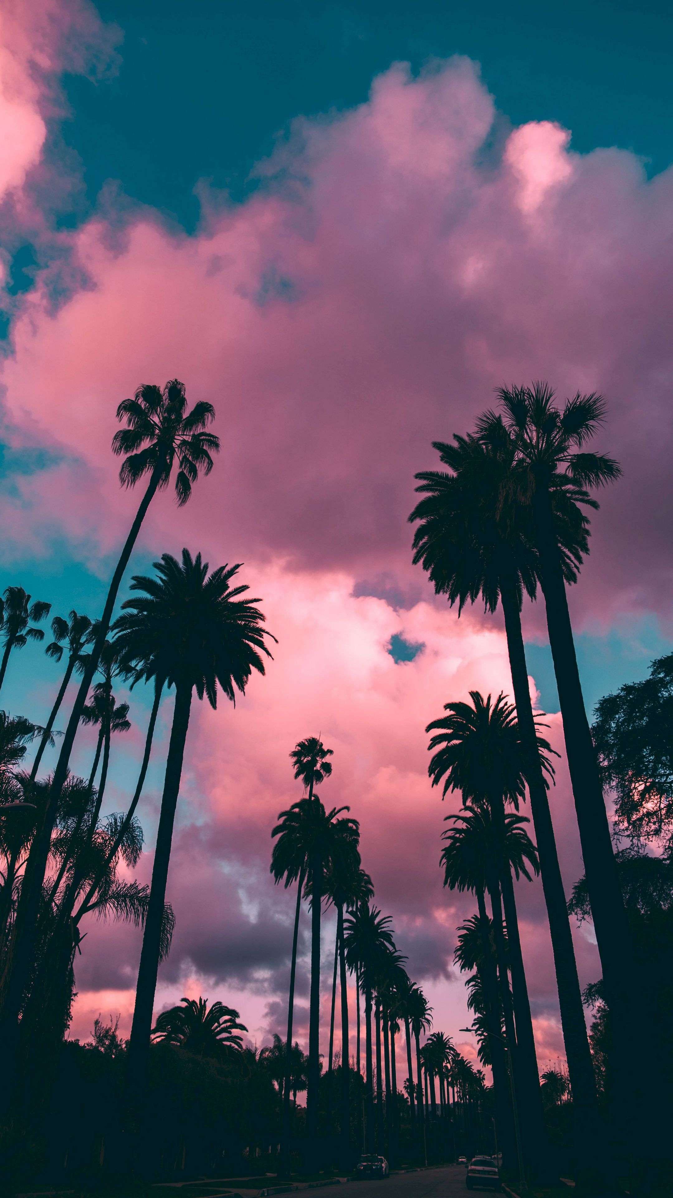 Palm Trees Sunset Clouds 4K Phone Wallpaper
