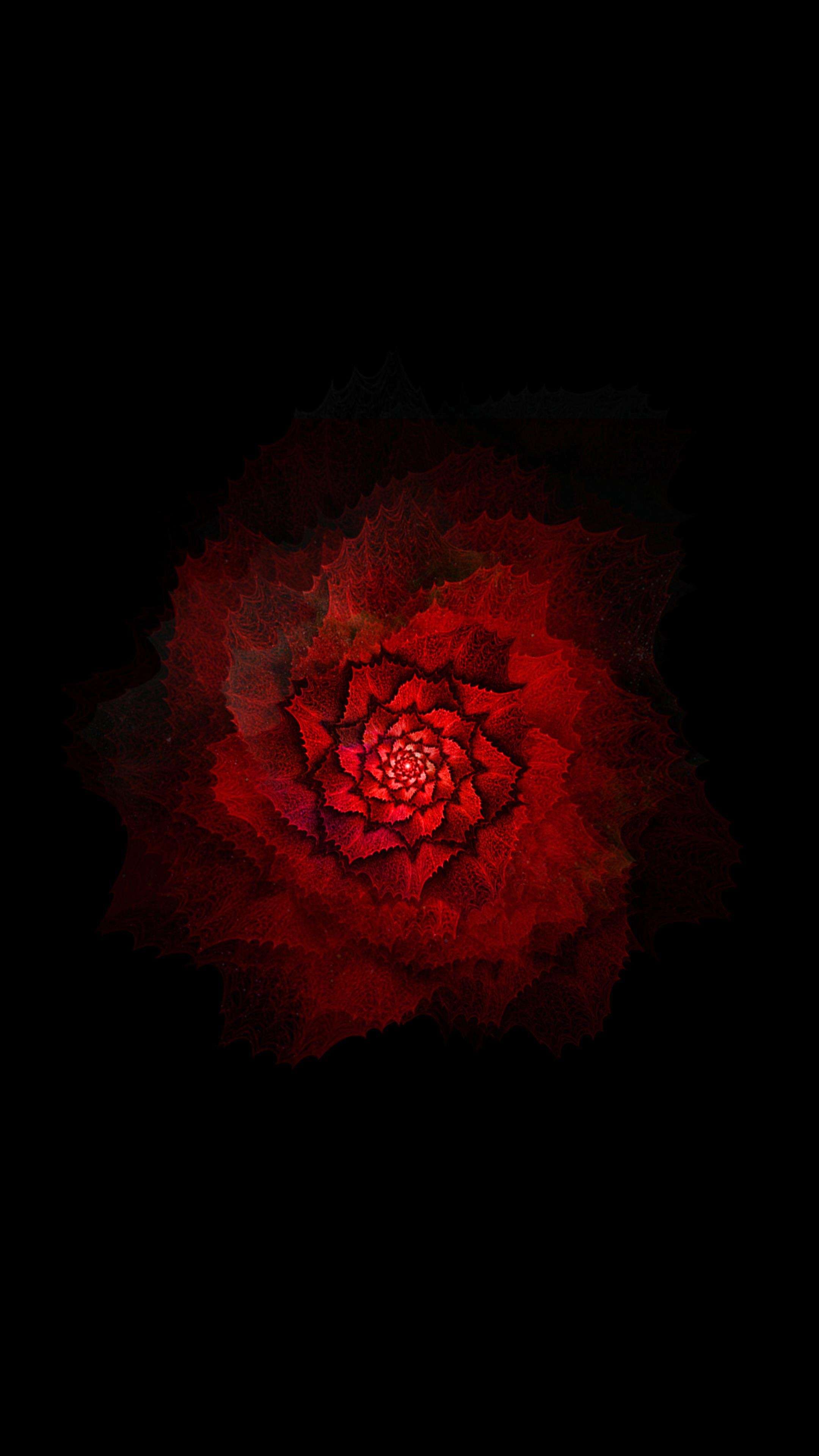 Red Flower 4K Phone Wallpaper
