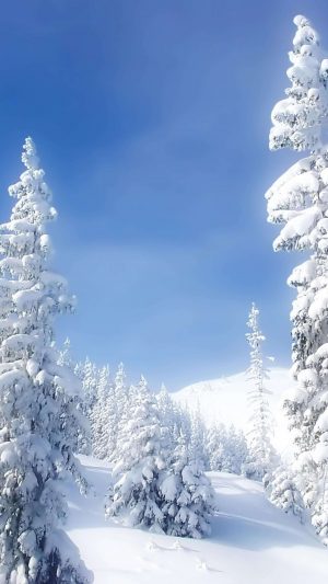 Trees Covered In Snow 4K Phone Wallpaper 300x533 - 4K Phone Wallpapers