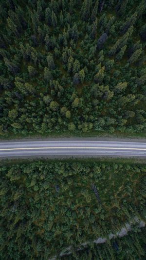 Trees Road Drone View 4K Phone Wallpaper 300x533 - Oppo Pad 2 Wallpapers