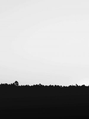 Black And White Landscape 4K iPad Wallpaper 300x400 - iPad Wallpapers