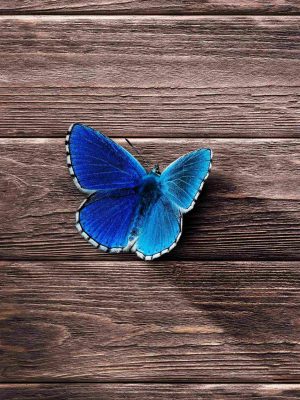 Butterfly Surface Wooden iPad Wallpaper 300x400 - iPad Wallpapers