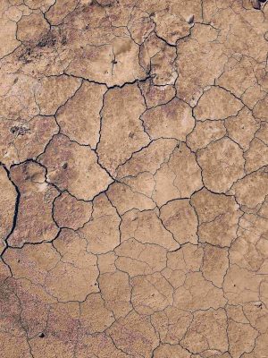 Cracked Soil Of Desert iPad Wallpaper 300x400 - iPad Wallpapers