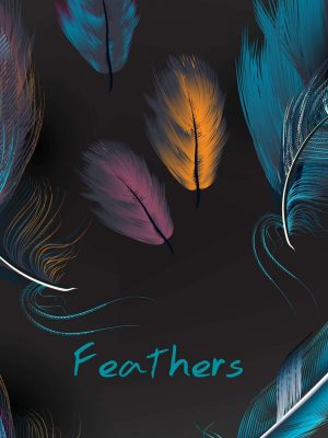 Feathers 4K iPad Wallpaper 300x400 - iPad Wallpapers