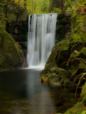 Waterfall Water Moss iPad Wallpaper 300x400 - iPad Wallpapers