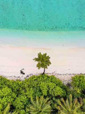 beach palm trees aerial view iPad Wallpaper 300x400 - iPad Wallpapers