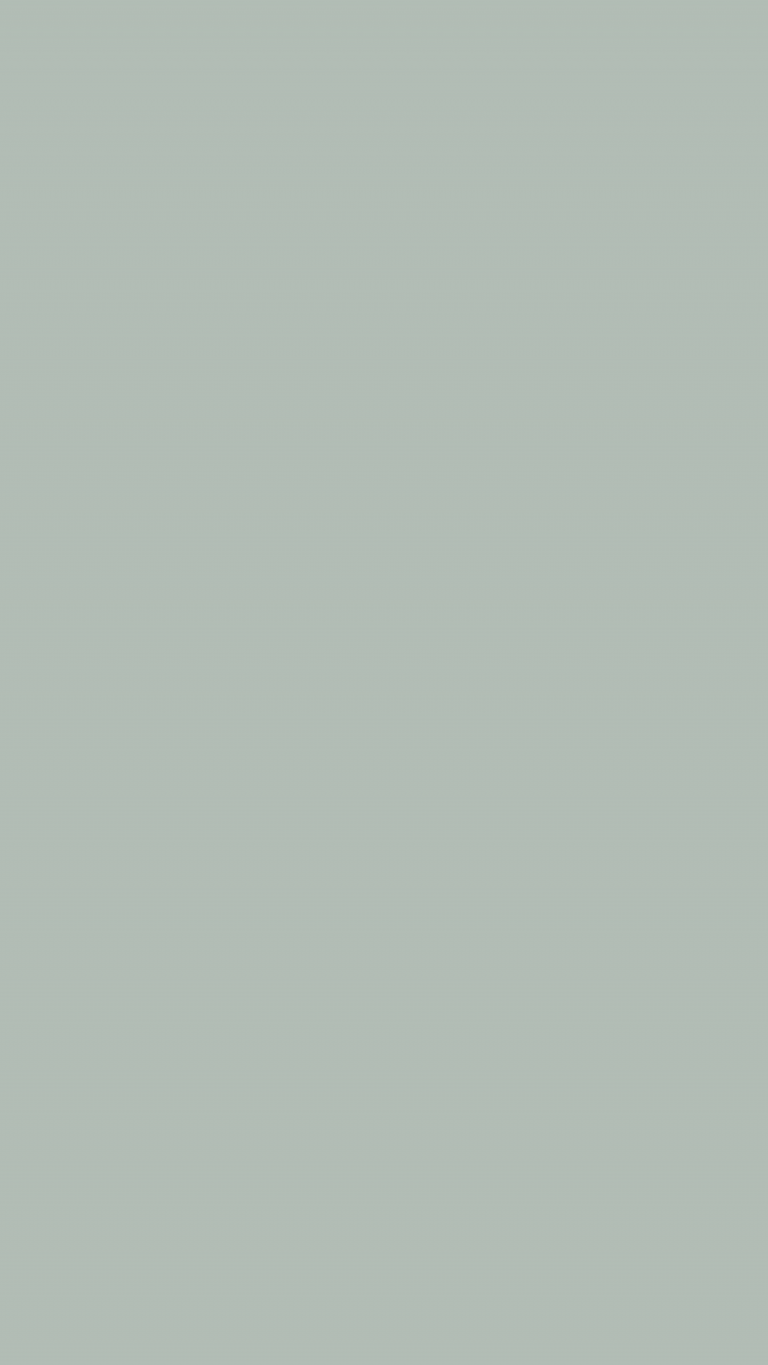 Ash Grey Solid Color Background Wallpaper for Mobile Phone