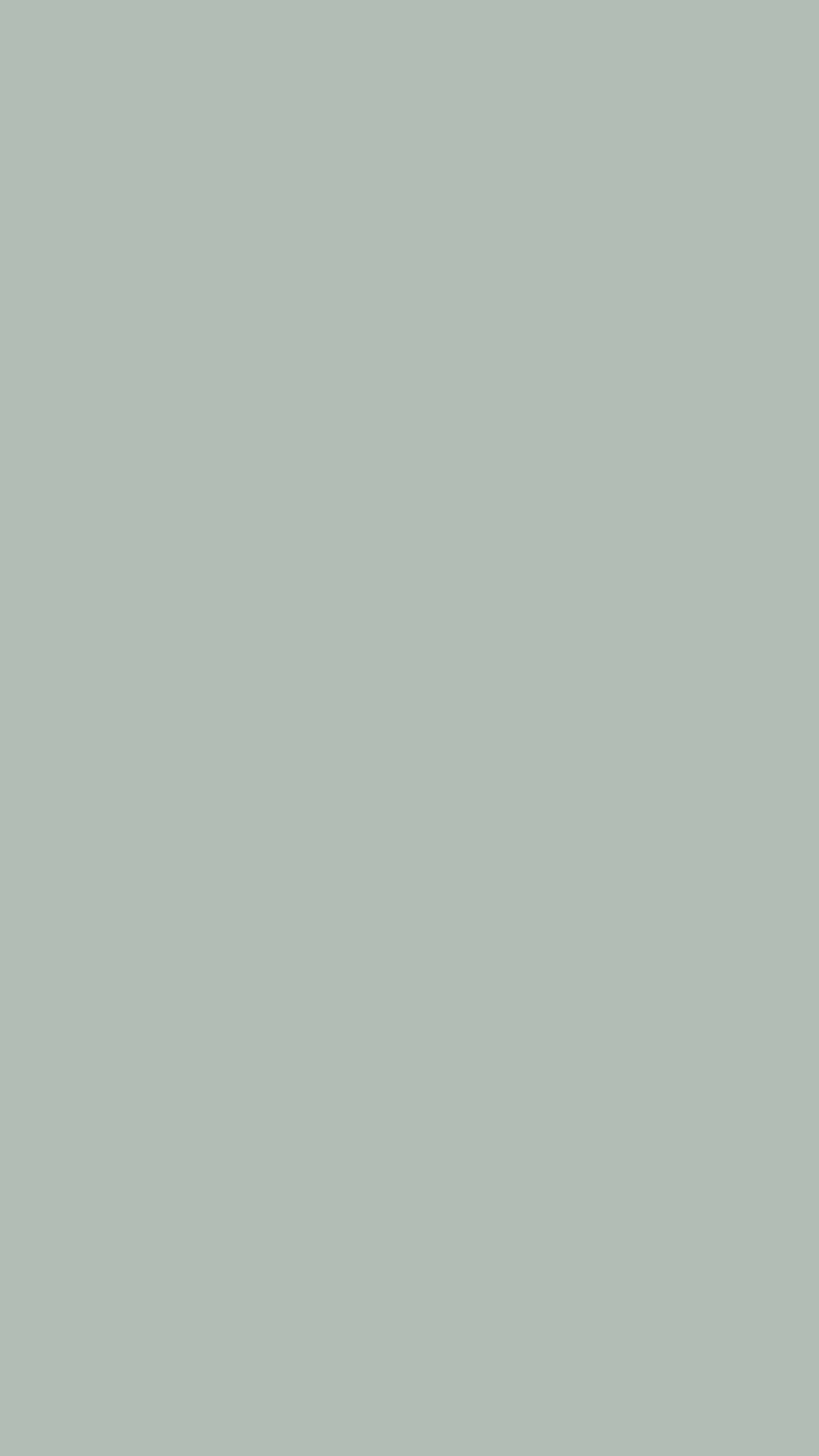 Ash Grey Solid Color Background Wallpaper for Mobile Phone