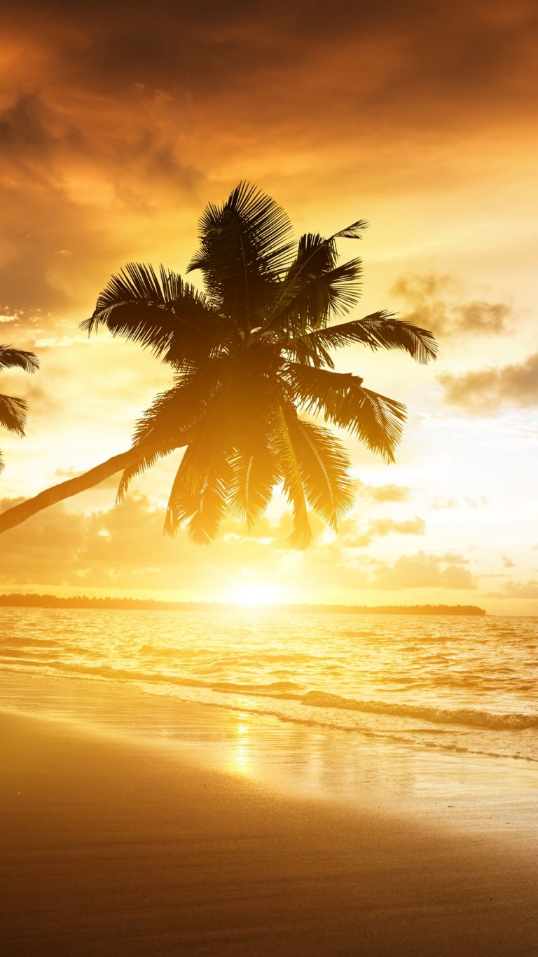 Download Wallpapers 3840x2400 Beach Tropics Sea Sand Palm Trees Vrogue