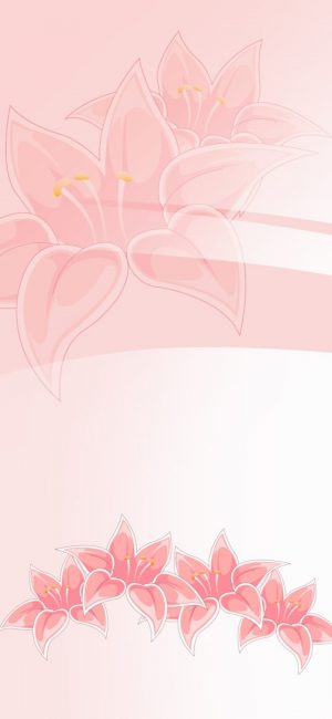 Flower HD Phone Wallpaper 054 300x650 - Pink Wallpapers