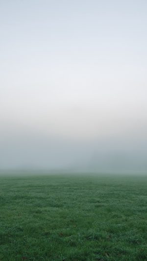 Grass Fog Thick Wallpaper 1080x1920 300x533 - iPhone White Wallpapers