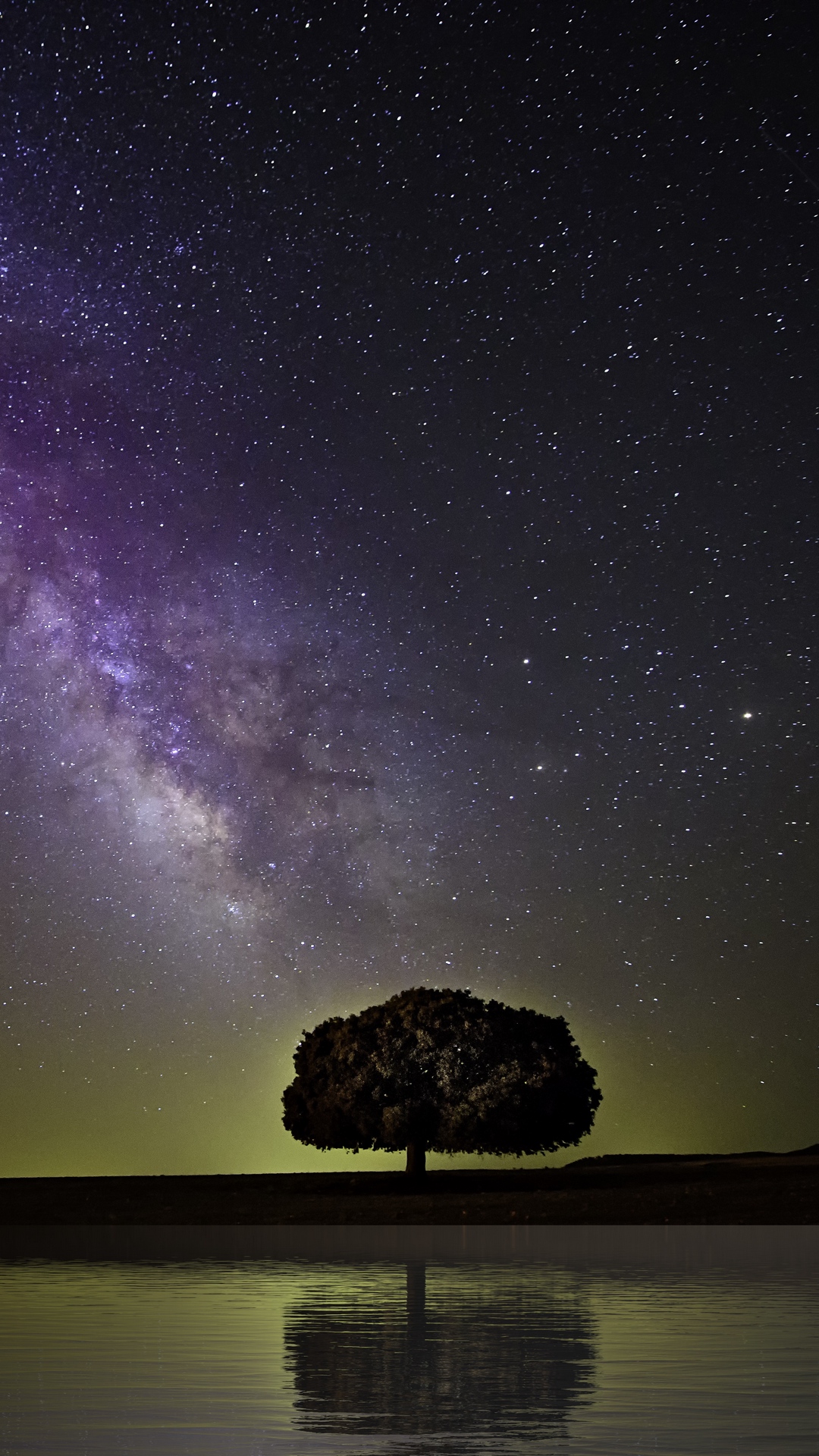 Starry Sky Milky Way Tree Wallpaper - [1080x1920]